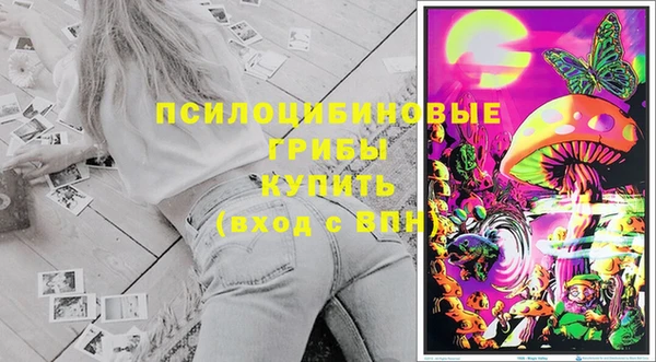 гашик Беломорск