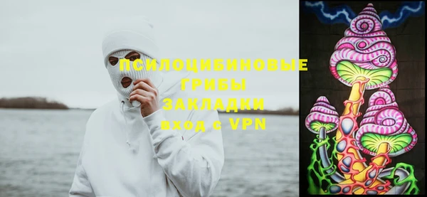 спиды Белокуриха