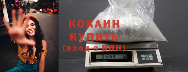 гидра Белоозёрский