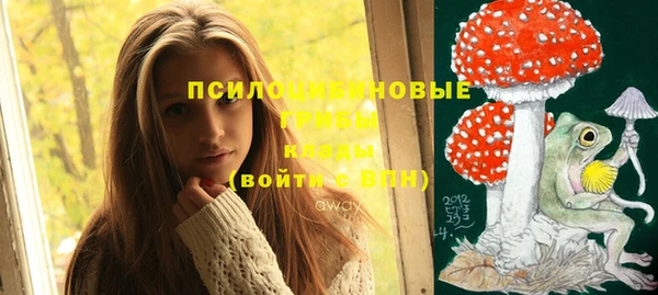 гашик Беломорск