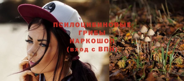 спиды Белокуриха