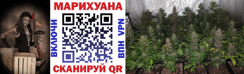 МЕГА tor Каневская Шишки марихуана Bruce Banner